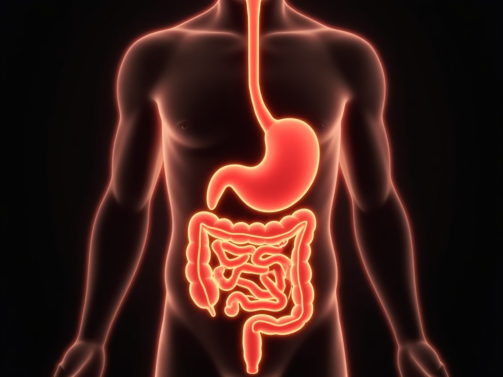 Digestion
